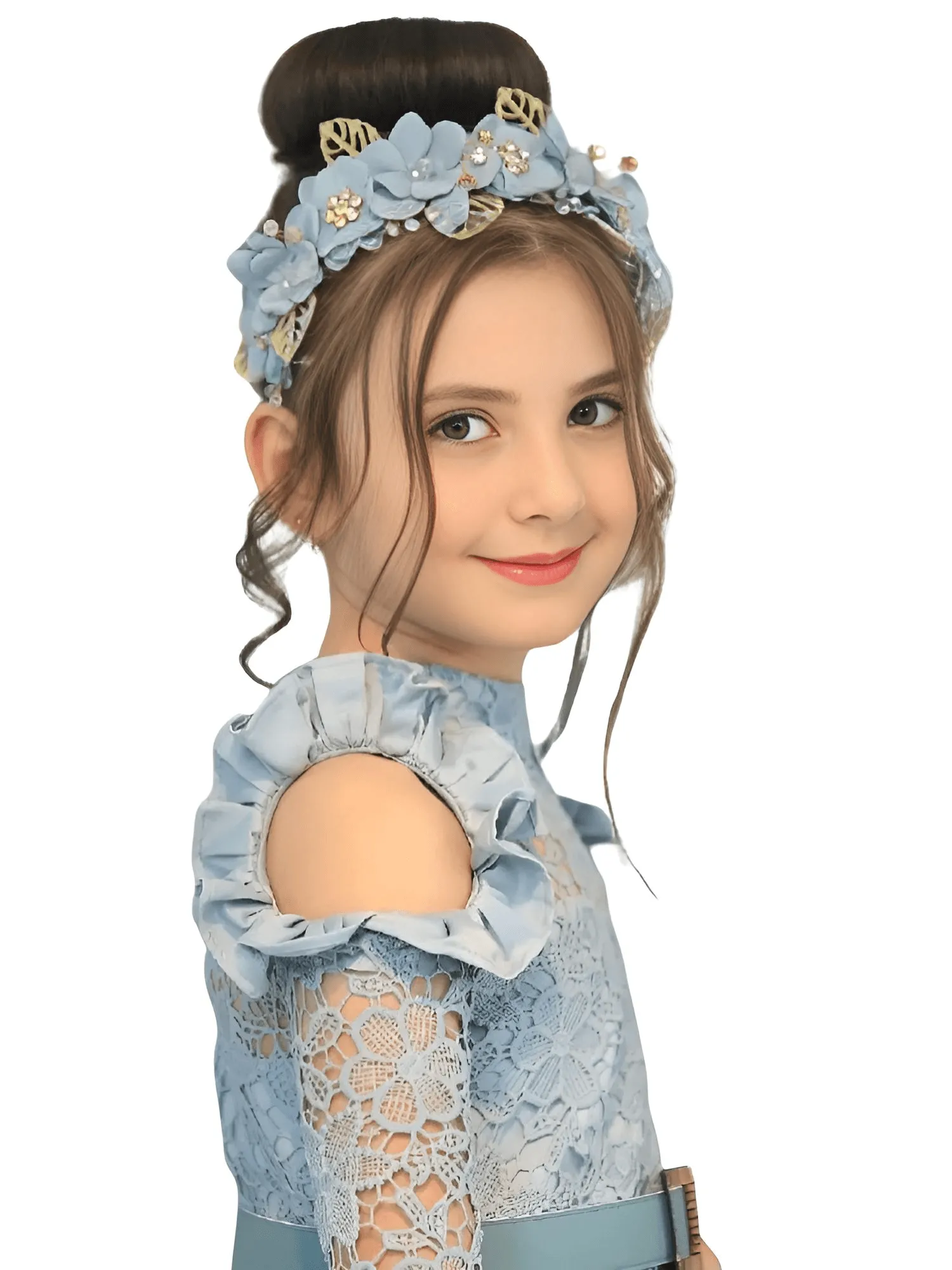 Princess High Neck With Illusion Sleeve Fluffy Skirt Girl's Lace Ball Gown Formal Party