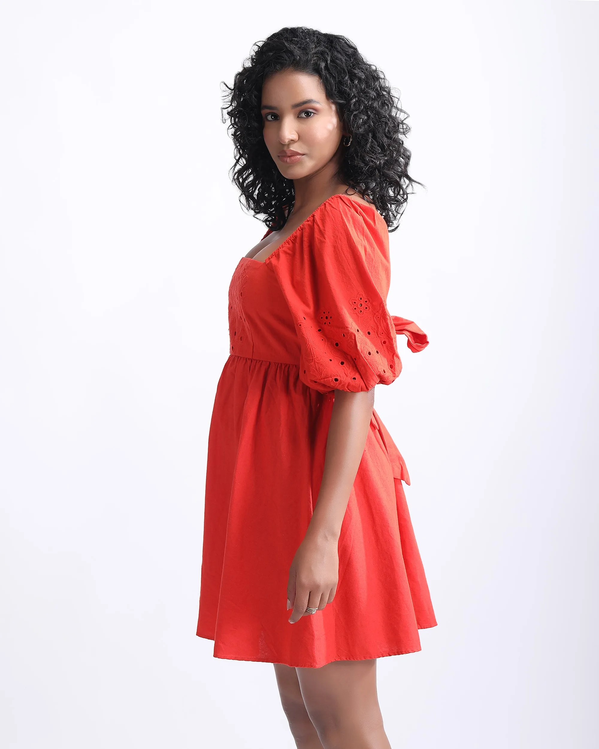 SCHIFFLI PUFF SLEEVES MINI DRESS