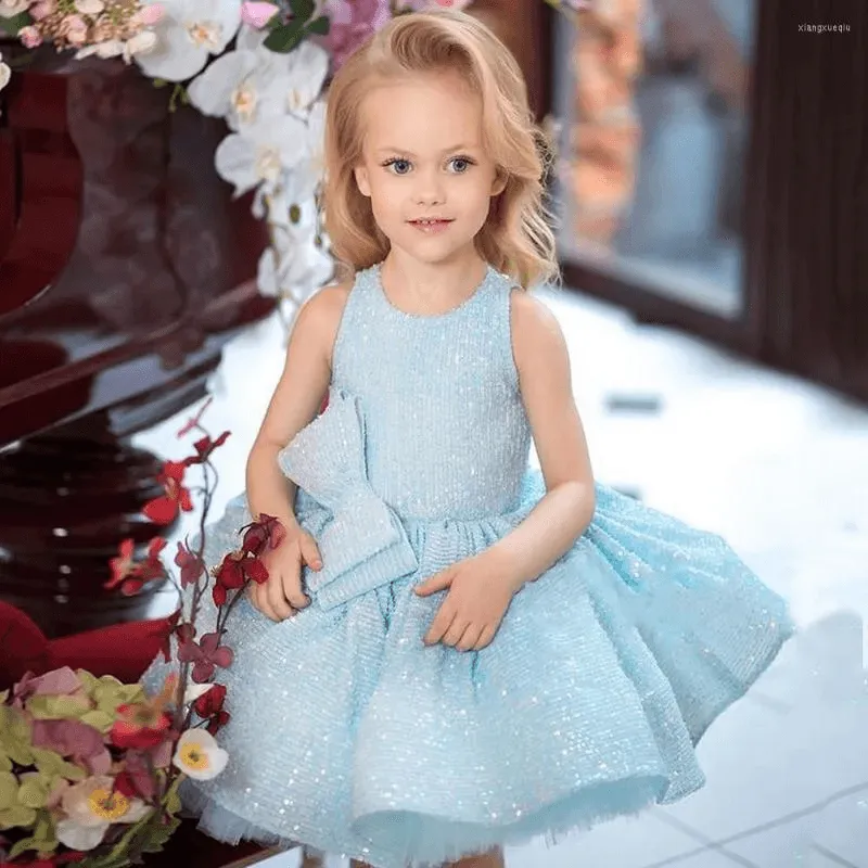 Sky Blue Flower Girl Dress - Tiered Glitter Sleeveless Wedding & Party Gown, Summer Communion